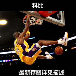怎么做假他项权证书